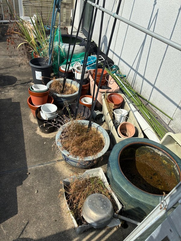 作業前：鉢と水がめ（山科区）